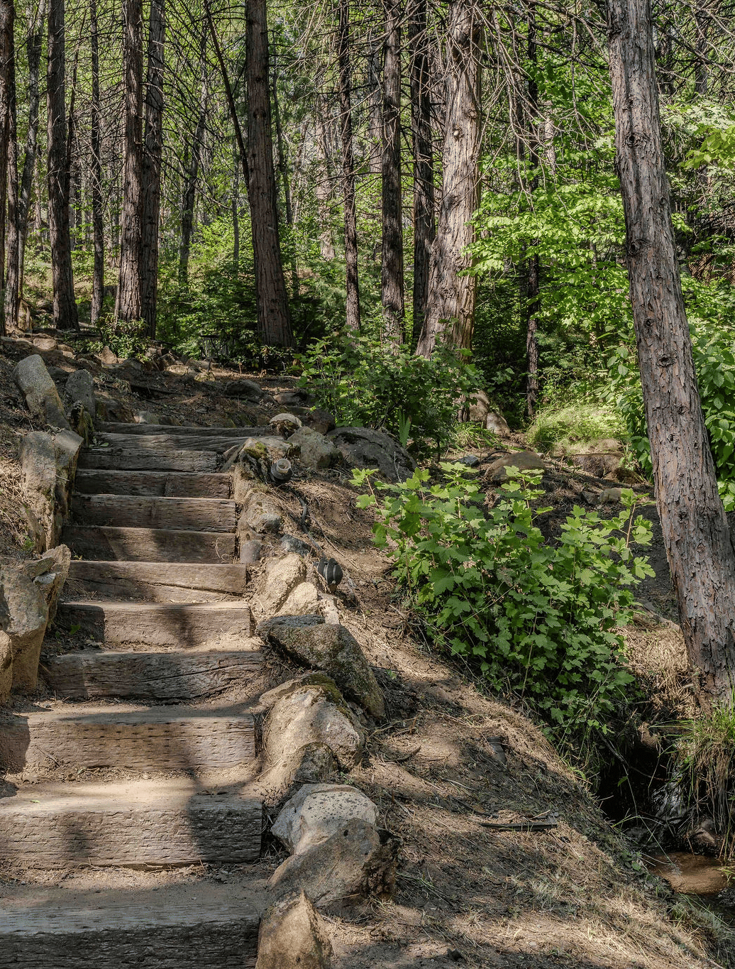 Narrow Gauge Inn | Historic Hotel near Yosemite