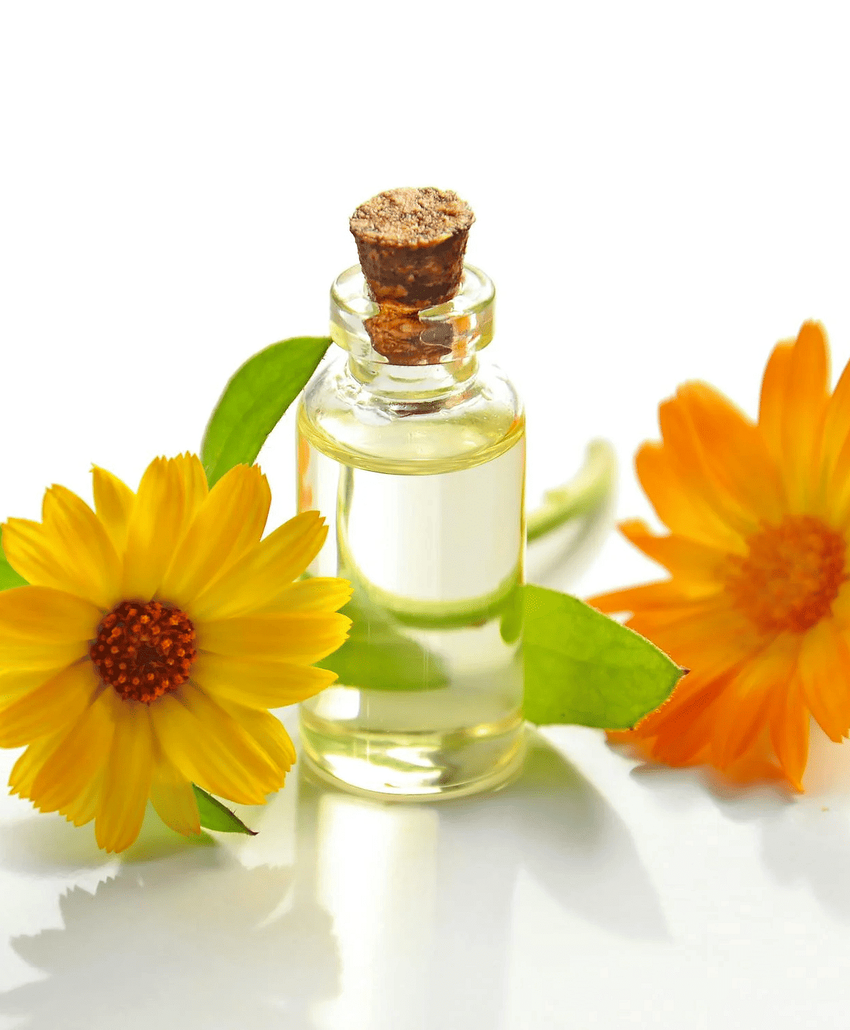 Image of a two flowers placed beside a container.