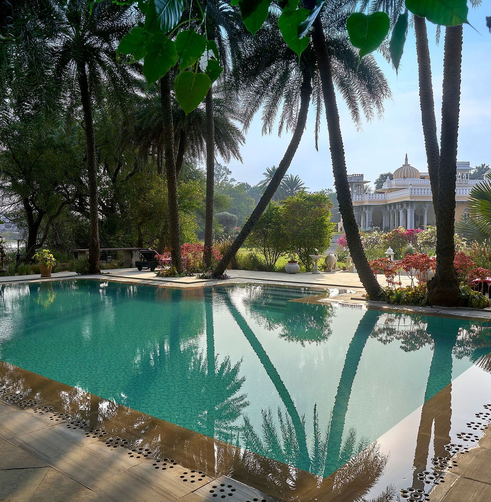 an image of a swimming pool surrounded by palm trees at dev shree, deogarh