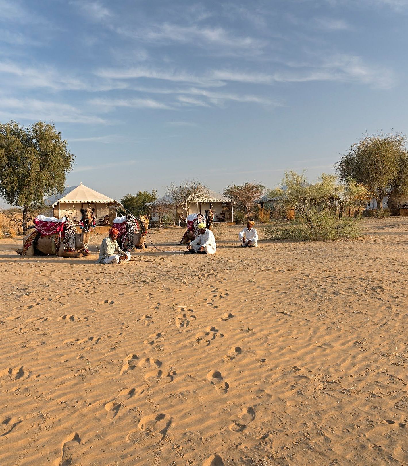 Camels resting alongside their caretakers in front of the tents at Manvar Resort and Desert Camp