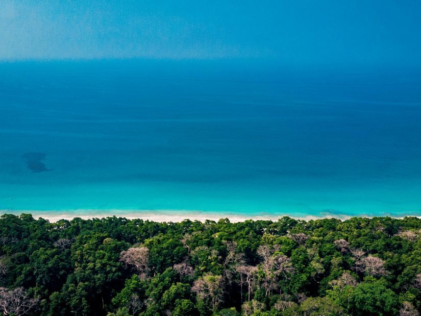 Radhanagar beach surrounded by lush greenery at Barefoot by Havelock.