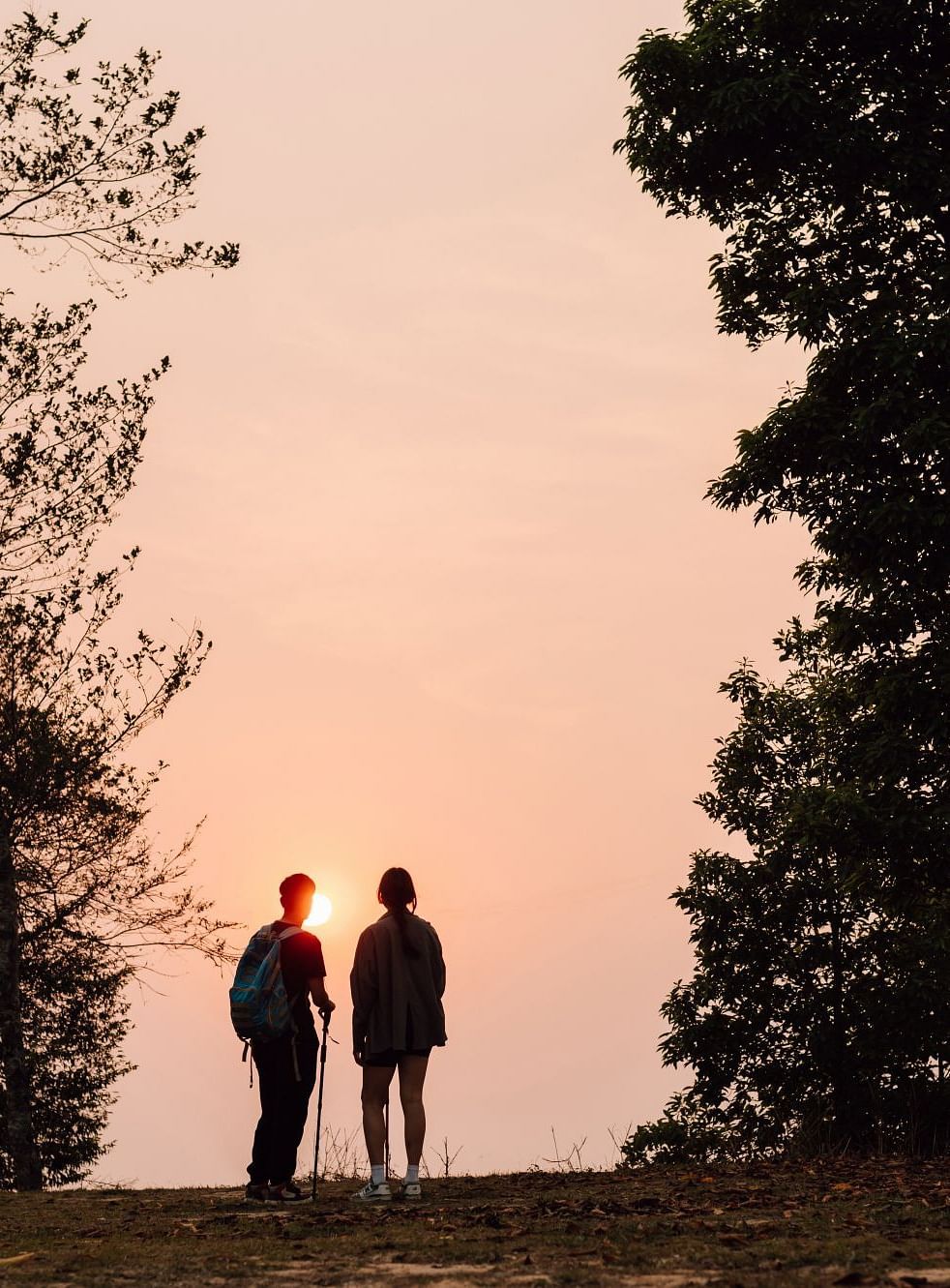Two hikers silhouetted against a vibrant sunset, standing amidst trees and enjoying the scenic view.