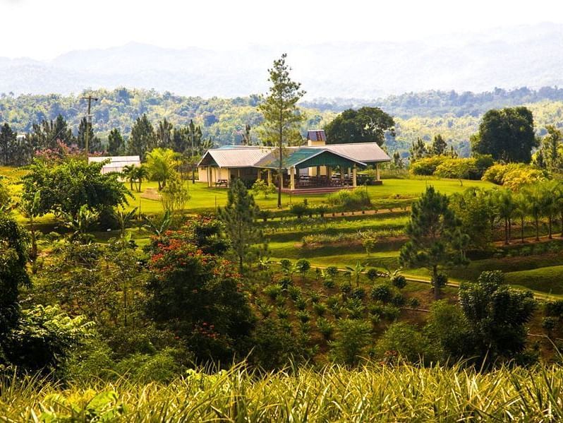 A scenic view of rolling green hills covered with lush trees and a large building nestled amongst them under a bright sky.
