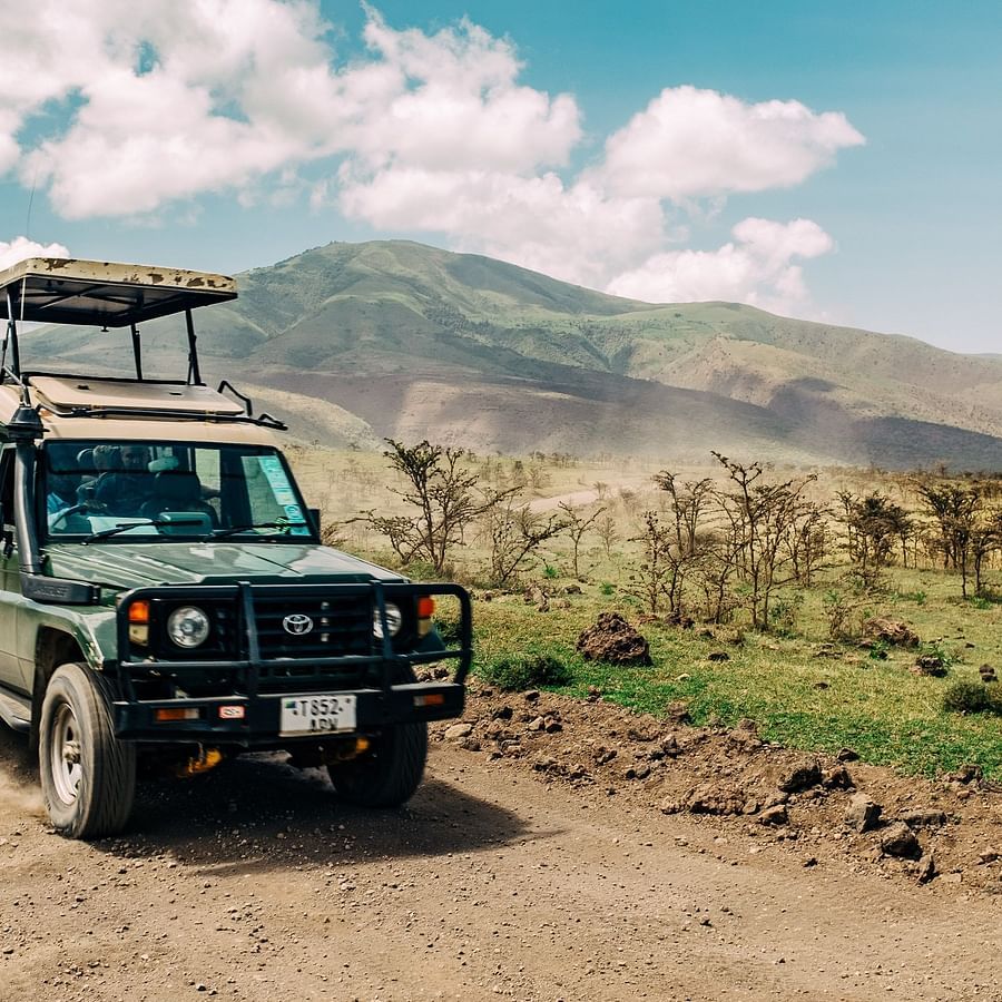 A jeep safari
