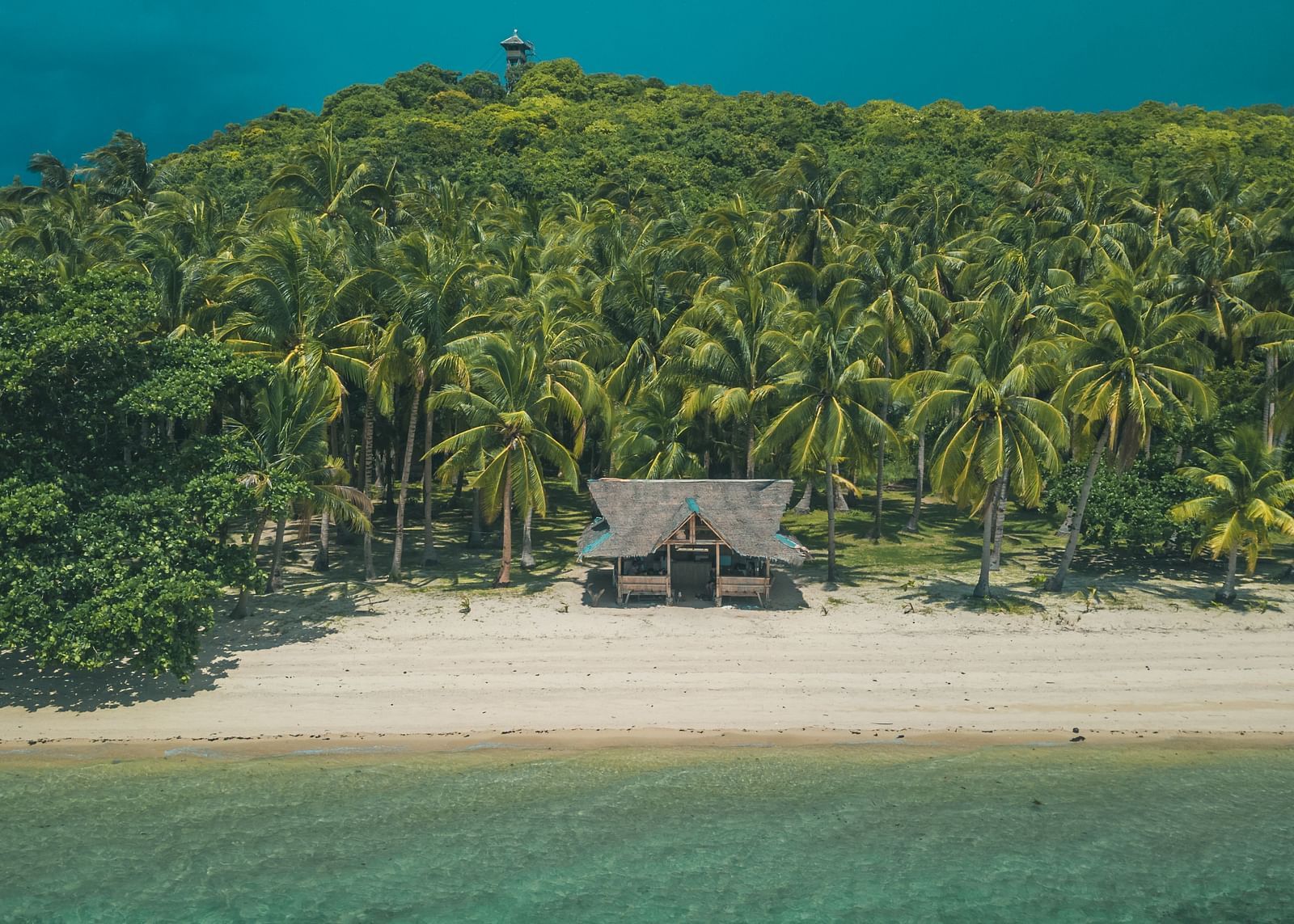 Tropical beach with a hut surrounded by dense palm trees and white sand.