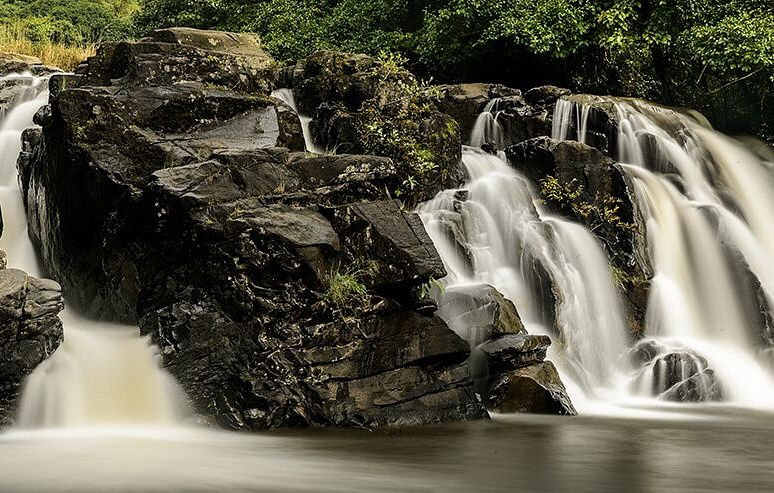 Orange-County-Article-The-Mesmerizing-Monsoons-in-the-Magical-Coorg-by-Prathap-Photography-005 - 2