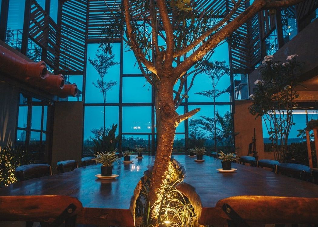 A huge dining table in a dim lighting setup with a huge tree in the middle.