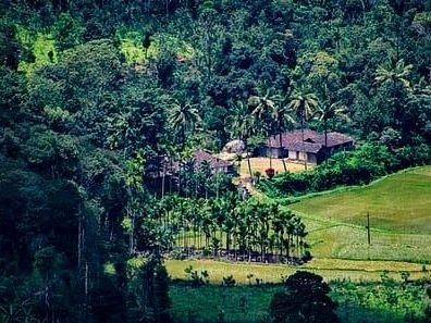 A house nestled in a lush green forest-Amanvana Spa Resort, Coorg - Luxury Resort