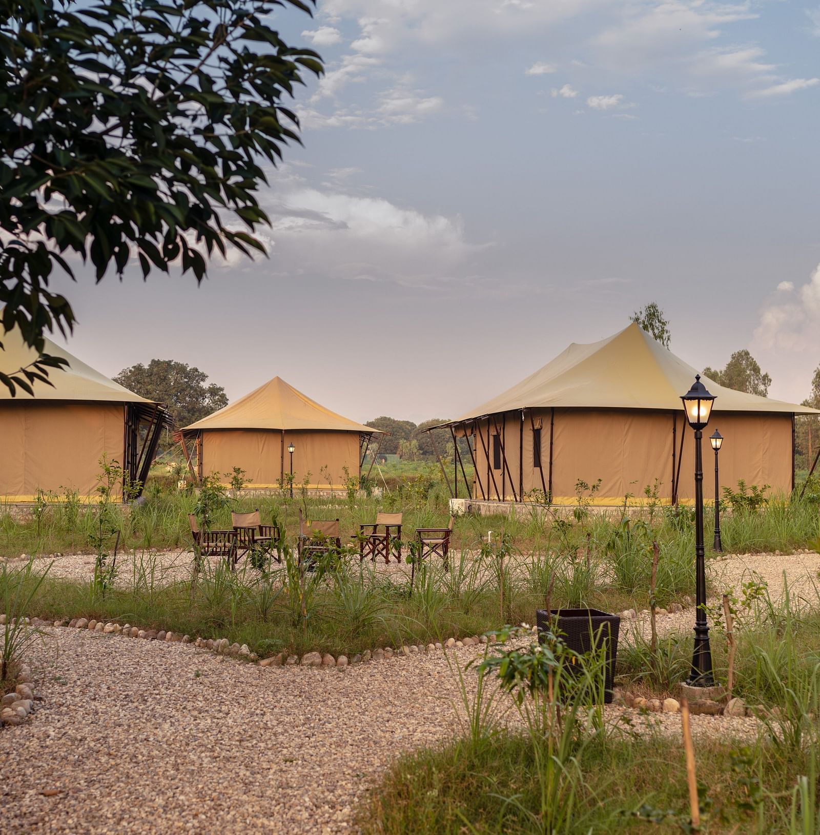 facade image of the tents with surrounded by plants - Aalia Jungle Resort & Spa