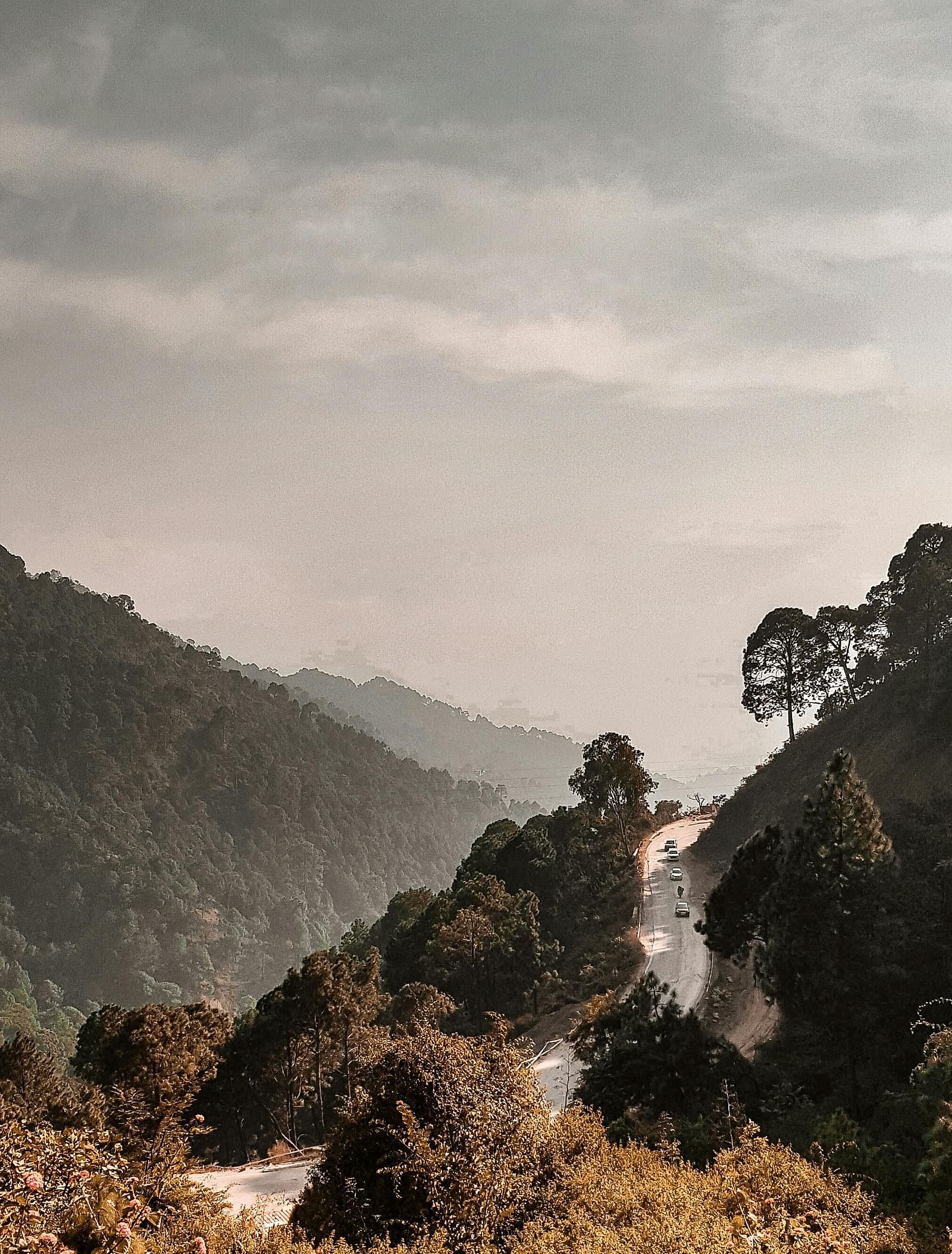 a narrow road going through the hills of Kasauli