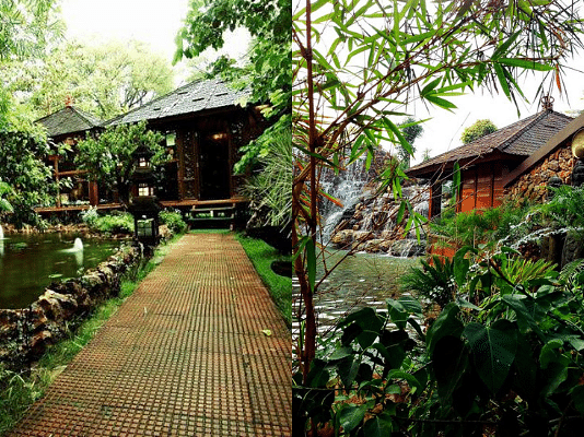 Tree House Resort