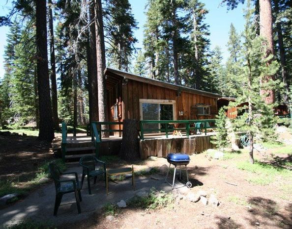 An aerial view shows a wooden cabin surrounded by dense forest, with a glimpse of a lake or body of water in the background | Fox