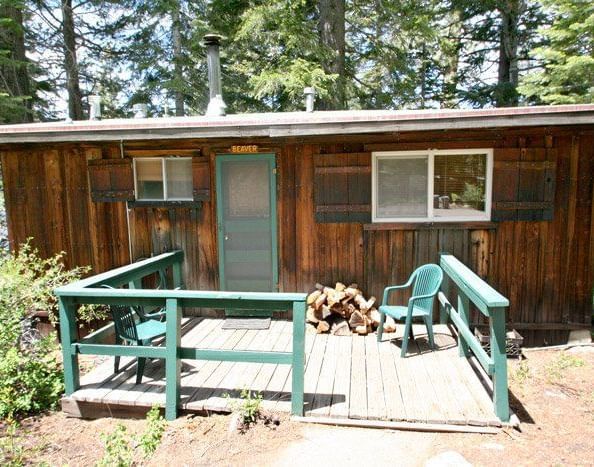 A wooden cabin with a green porch and railing is visible through the trees, with a path leading to its entrance | Beaver