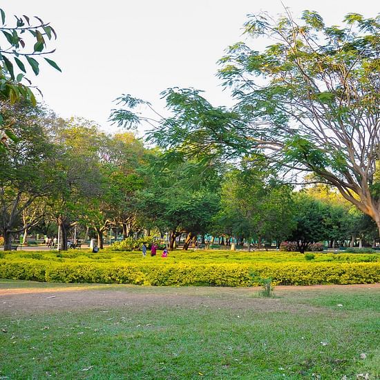 An overview of a park with many trees and a pathway in view