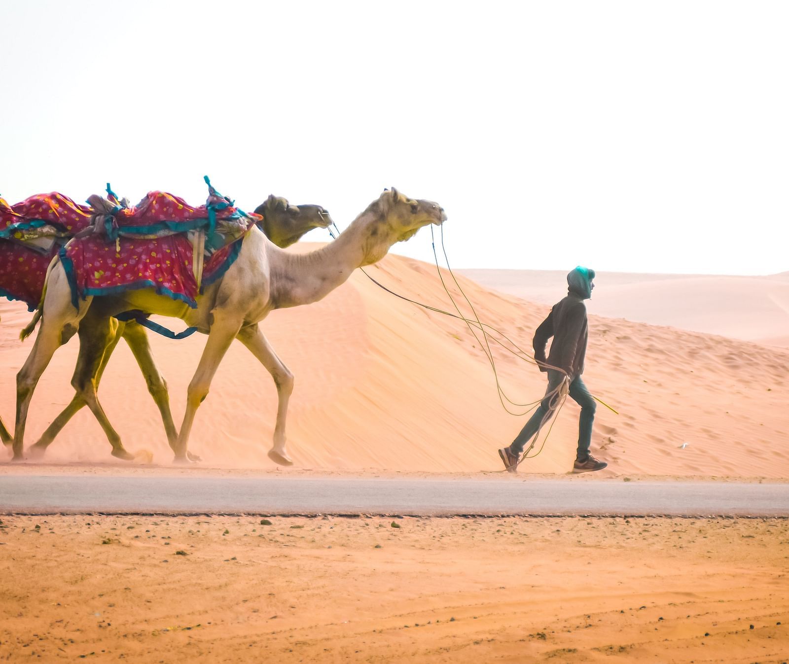 A desert scene featuring two camels and a person walking in the sand.