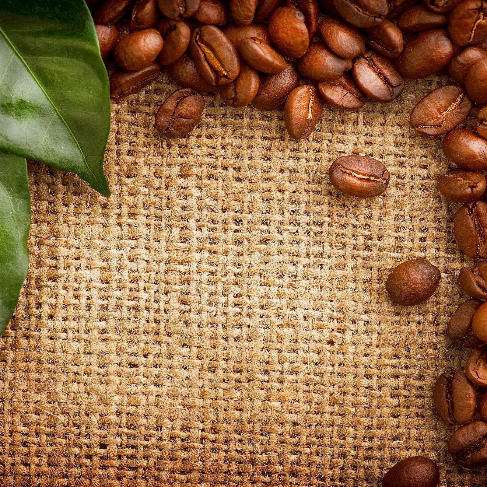 A picture of Coffee beans on a sack - Evergreen County