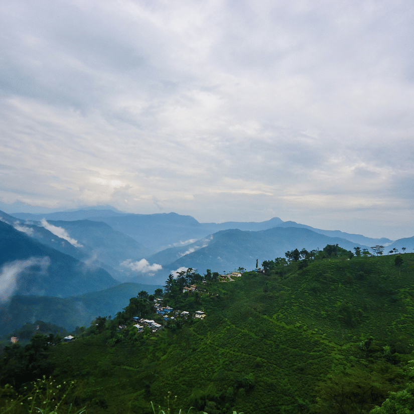 Lush green hills and layered Himalayan mountain views under a cloudy sky.
