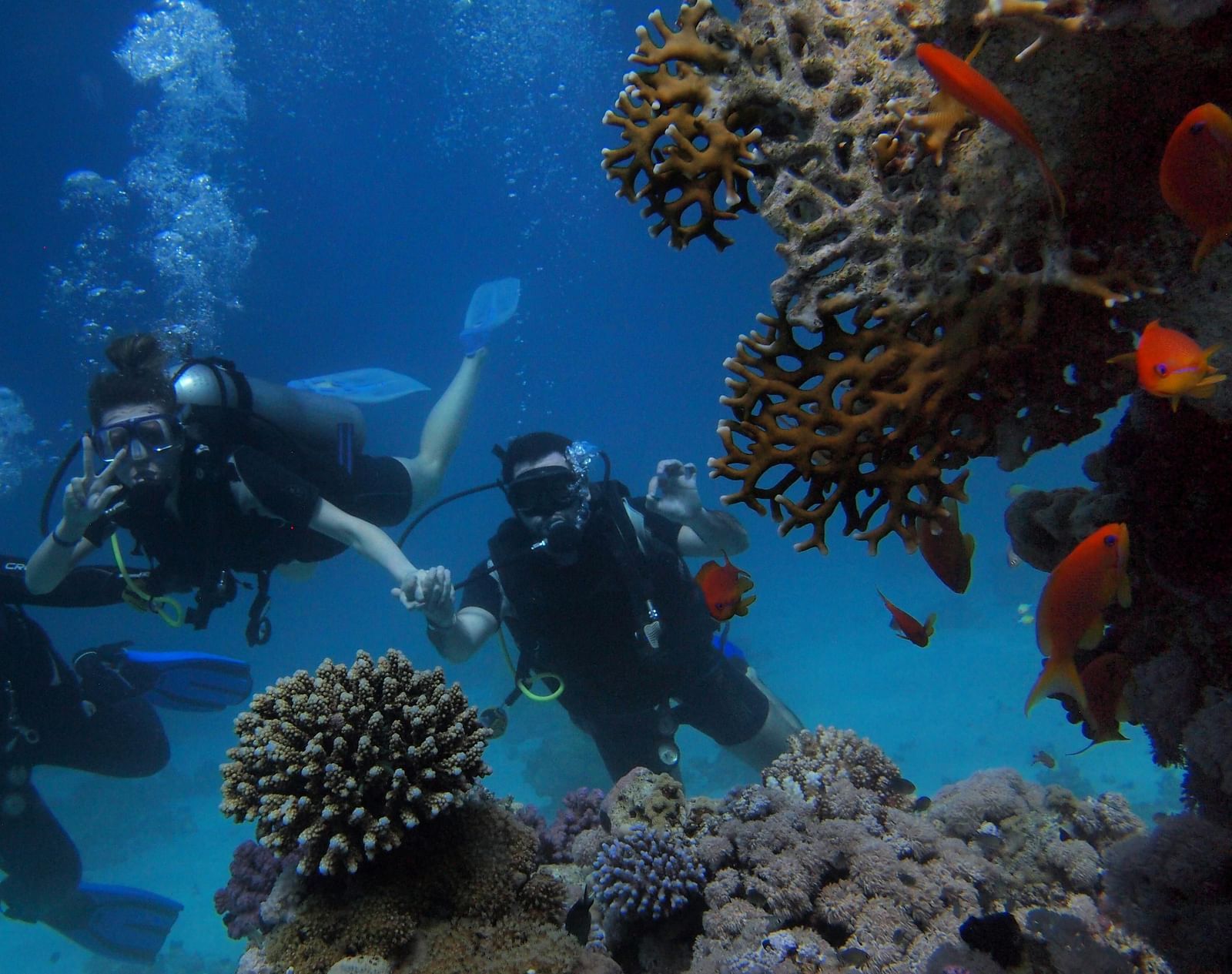 Scuba divers exploring a colourful coral reef with various marine life underwater.