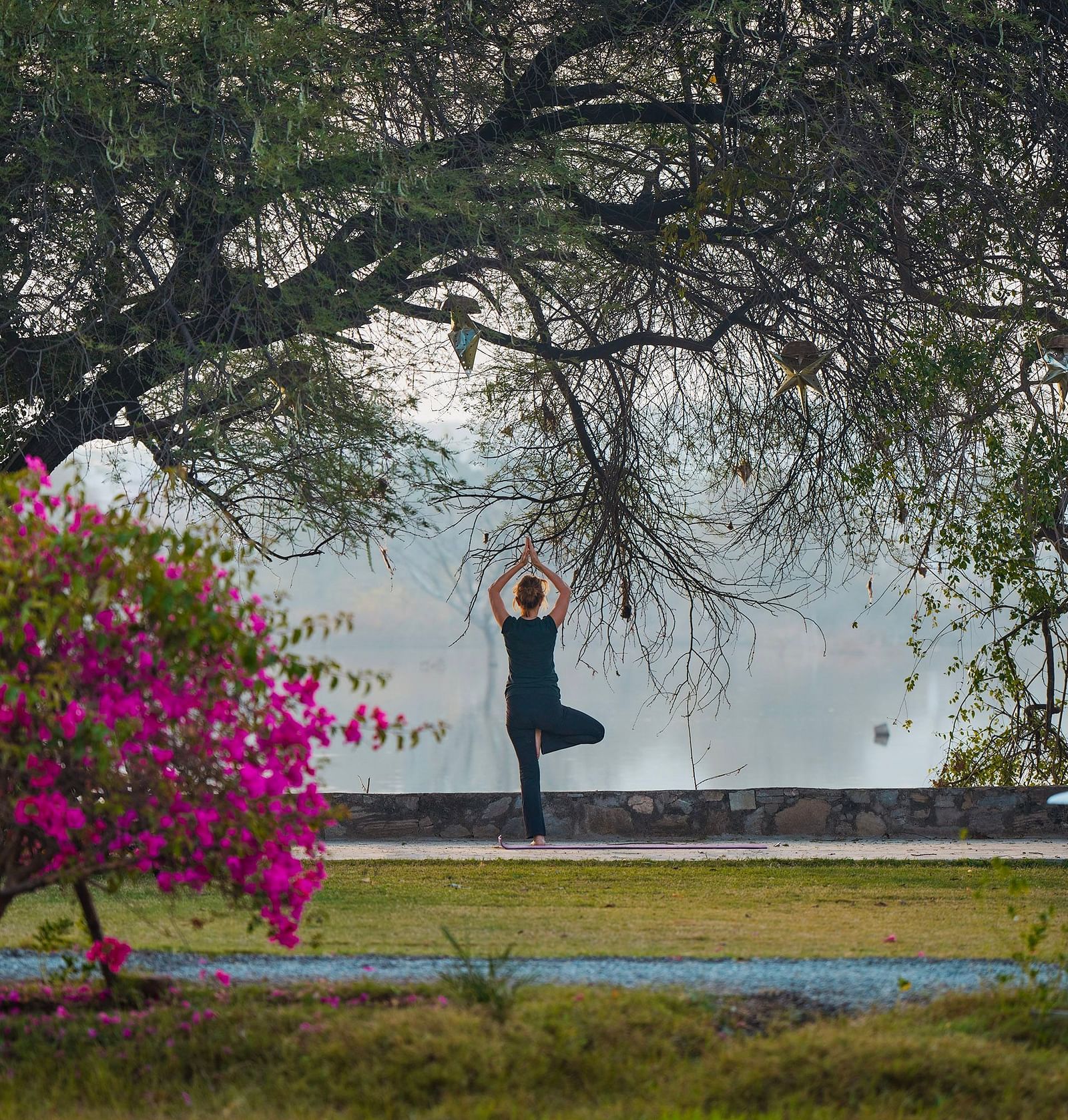 image of a person performing yoga asanas in a tranquil garden with dense canopy around and foggy background at dev shree, deogarh