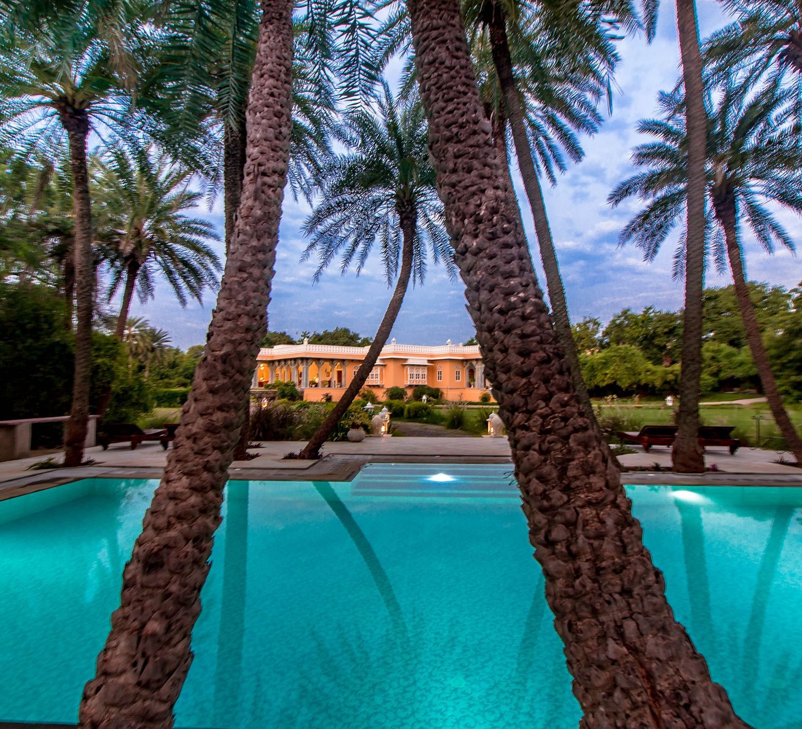 image of a beautiful Swimming pool lined by palm trees at Dev Shree, deogarh