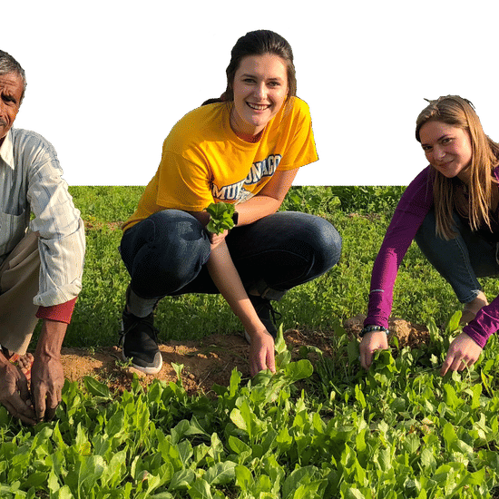 Organic Farm Visit 4