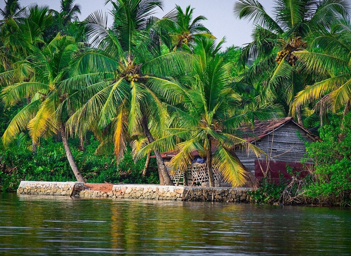A vibrant view of a tropical island with palm trees and calm water, offering a idyllic retreat.