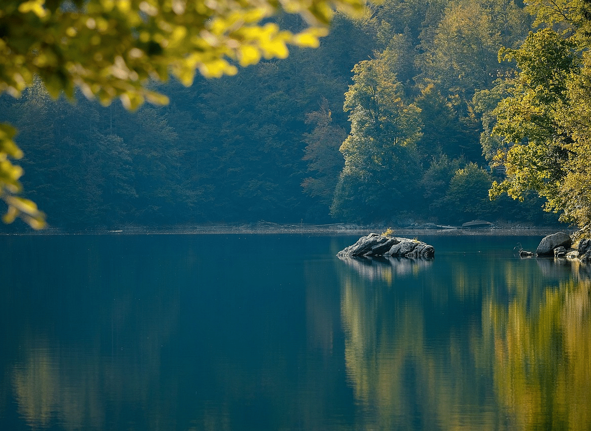 A lake view with the reflection of trees on the water, framed by a branch.
