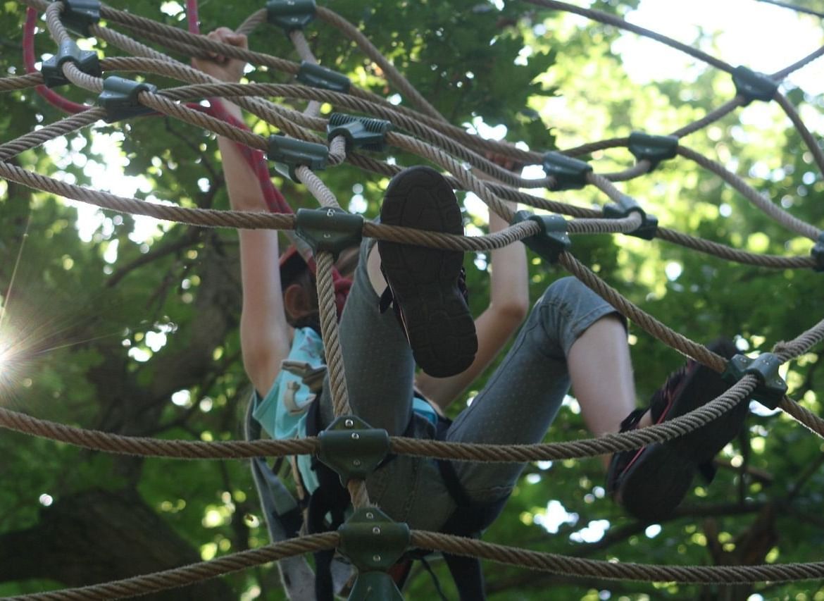 climbing-forest-906973 1280