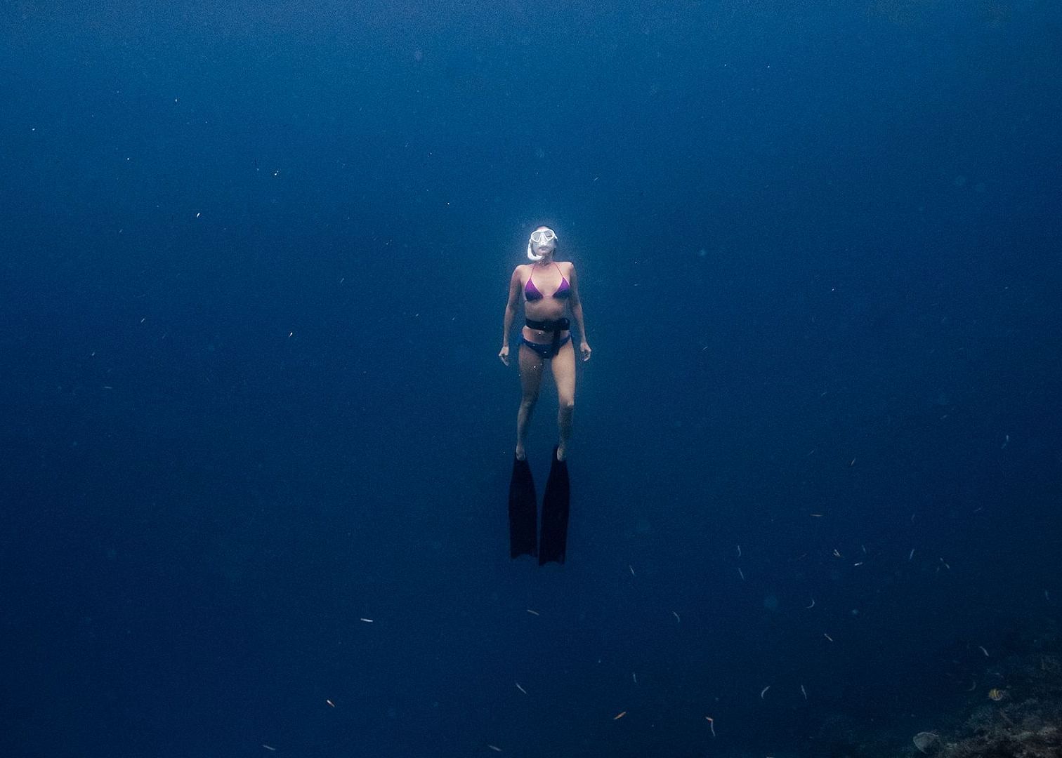 Person floating upright in deep blue water during a dive at Flower Island Resort.