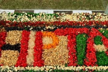 Screenshot from 2026-03-11 19-12-24