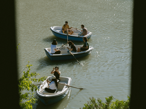 A view from above of three boats on the river travelling in different directions with tree branches seen in the foreground.