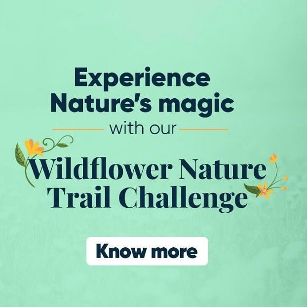 Revised Web banner- wildflower challenge