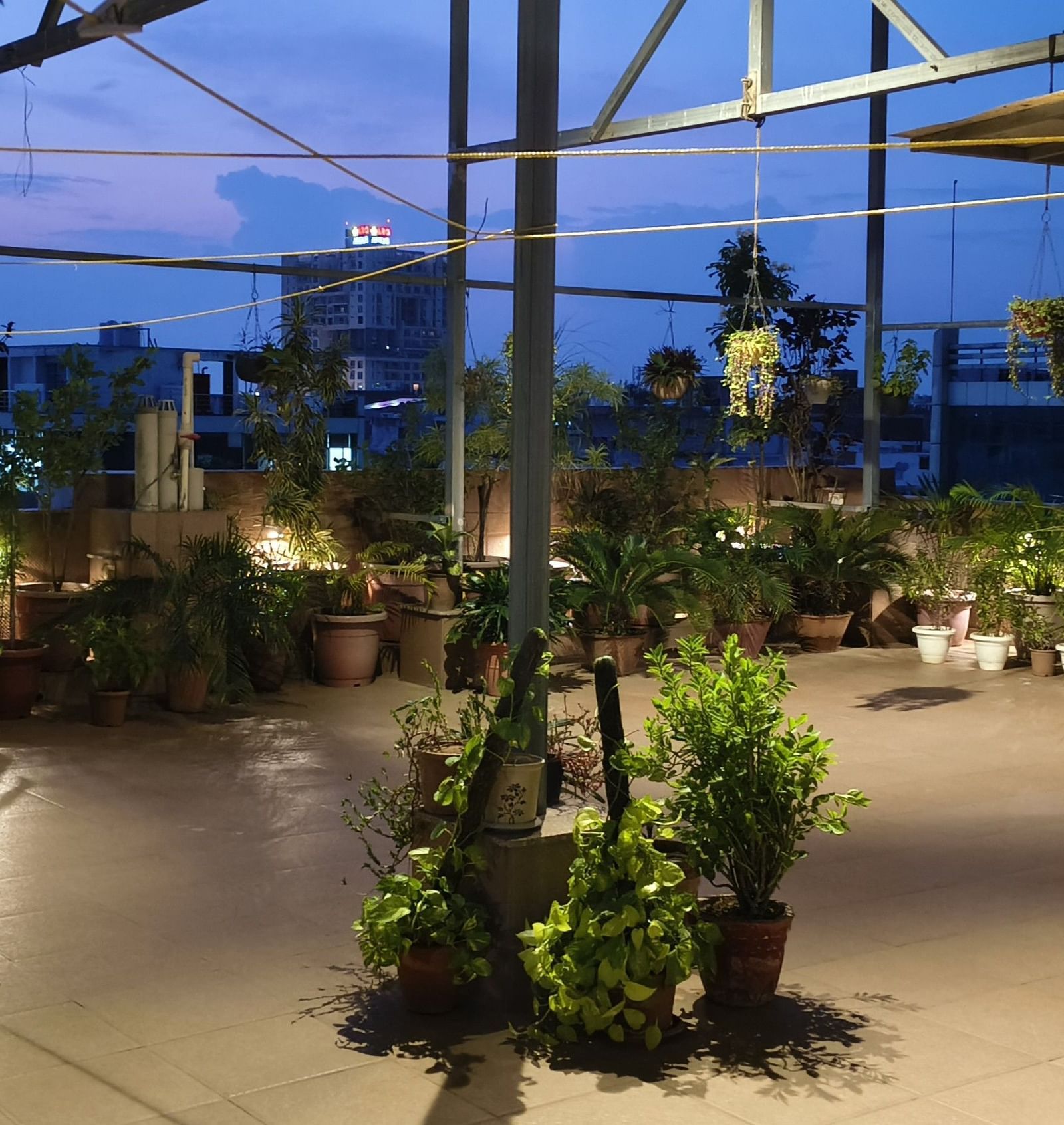 Rooftop space with potted plants, open floor area, and partial structures visible at Jaypore360 Homestay in Jaipur.
