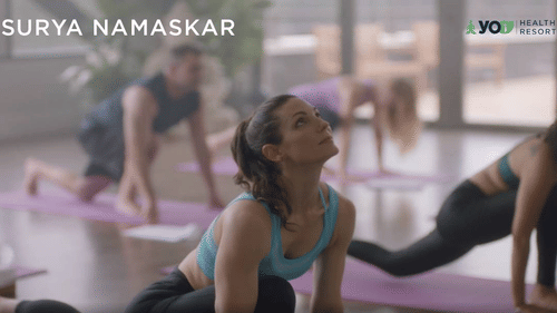 A group of people are performing yoga poses on purple mats in a studio, with SURYA NAMASKAR text at YO1 Longevity & Health Resorts