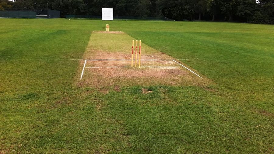 Cricket at Umaid Palace Hotel Kalakho Dausa Rajasthan