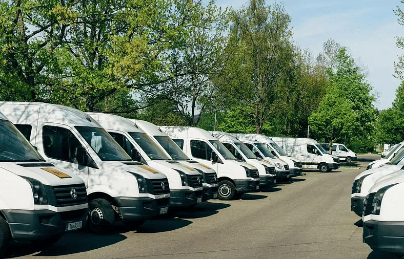A row of white vehicles parked outdoors along a tree-lined road.