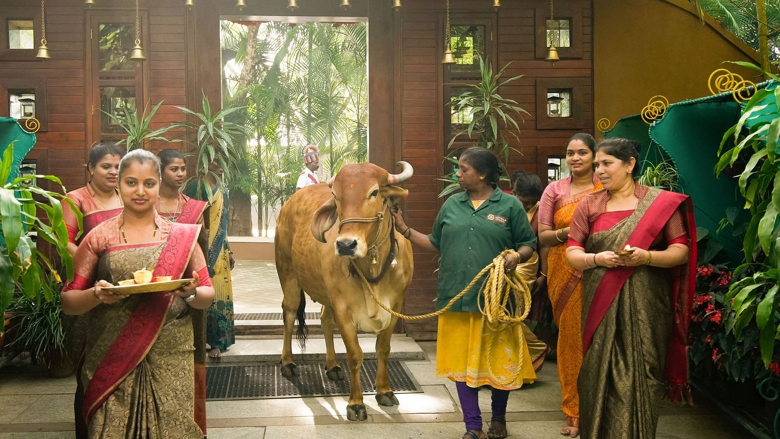 An overview of the staff worshipping the divine cow at hoysala village resort, hassan.