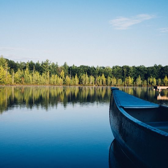 a boat standing by the river encircled by dense forest