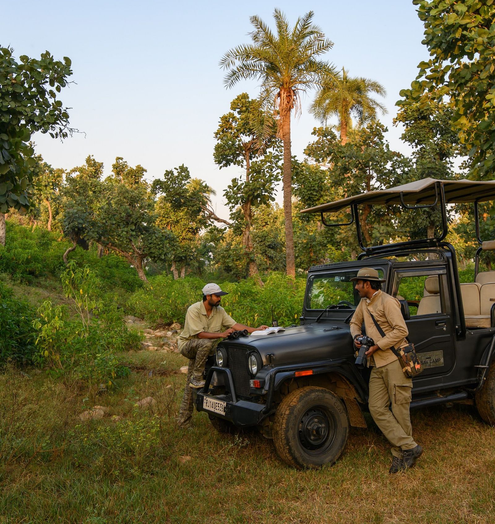 An image of a jeep parked amidst the jungle - Utsav Camp Sariska