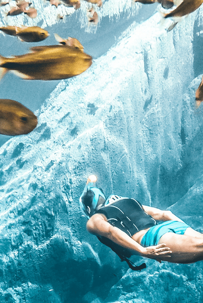 a person swimming underwater next to a school of fish