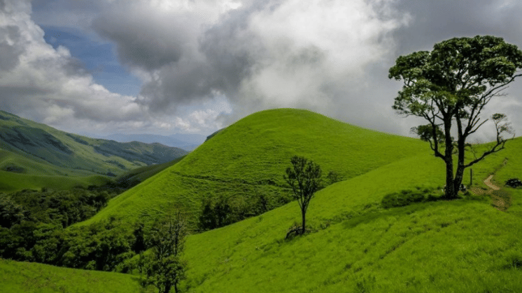 Bright green hills with a lone tree beneath dramatic, overcast clouds.