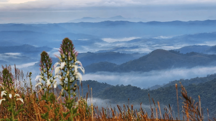 Distant hills wrapped in morning mist creating a calm, layered landscape.
