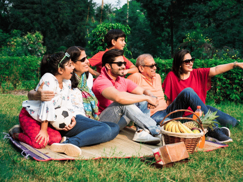 A family of 6 people enjoying at the park.