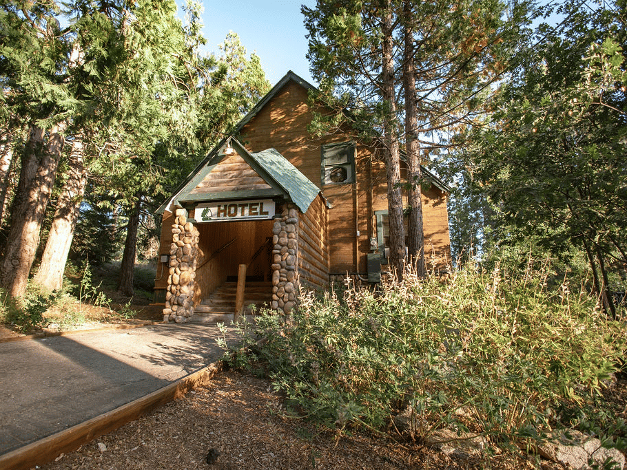 Cabin-style wooden lodge nestled among dense forest trees with pathway leading to entrance.