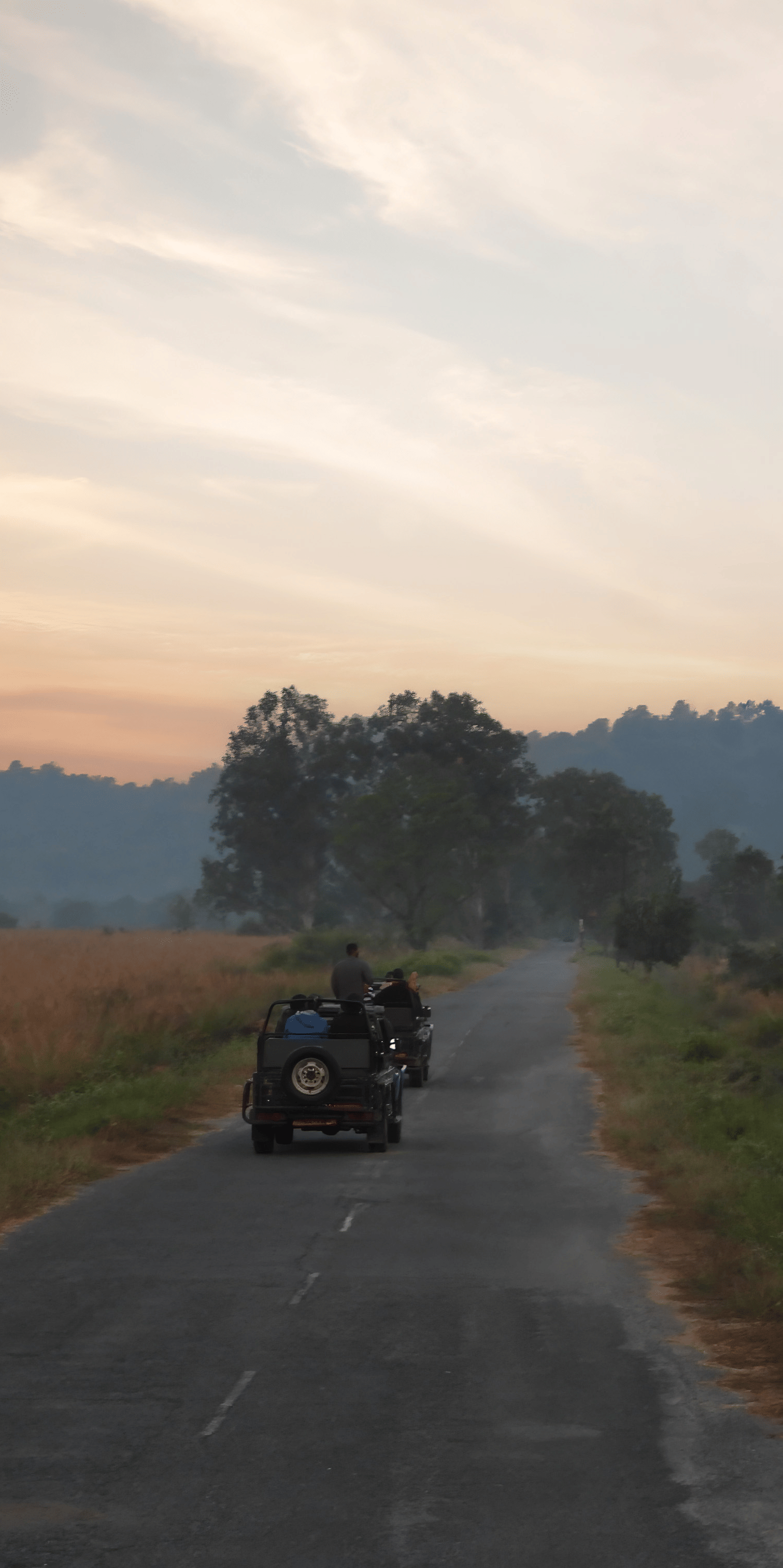 A dirt road leading toward hills at sunset or sunrise, and a vehicle in the distance at The Golden Tusk, Jim Corbett