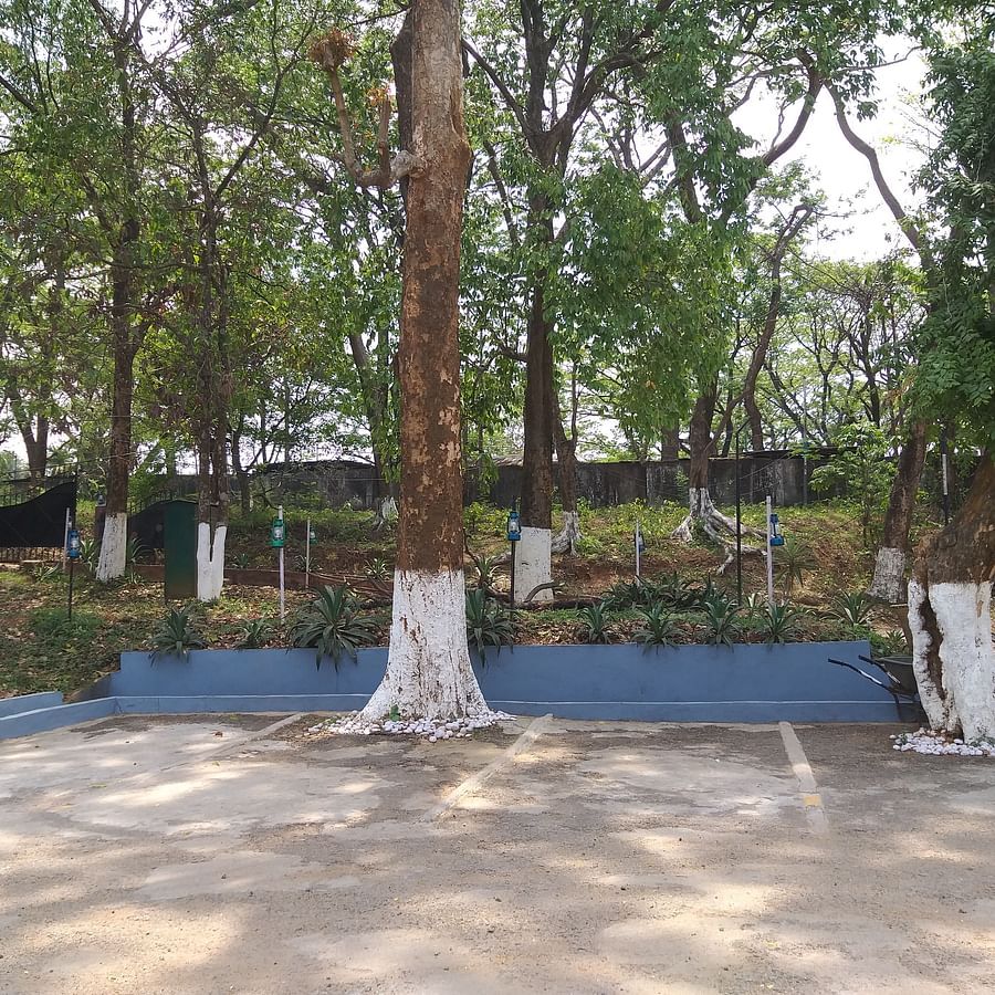 alt-text An outdoor parking area surrounded by trees and blue painted curbs inside the hotel premises.