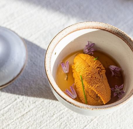 Summer+Urchin+w+lid