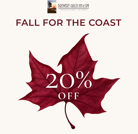 BGI Fall Season creative displaying 20% off on stays until 31st December 2026. 