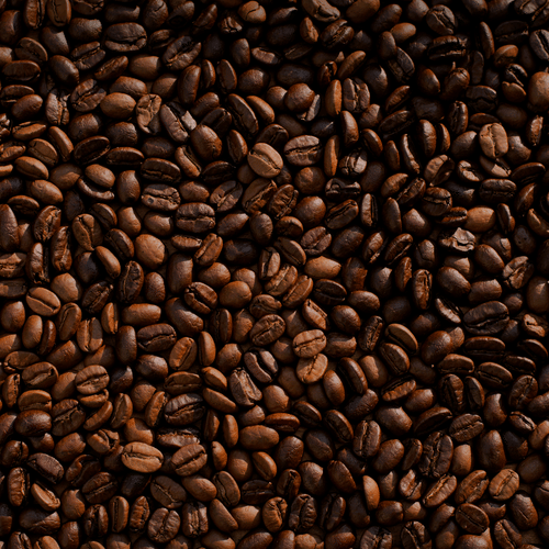 A large quantity of roasted coffee beans are spread out evenly, showing their dark colour and oily texture.