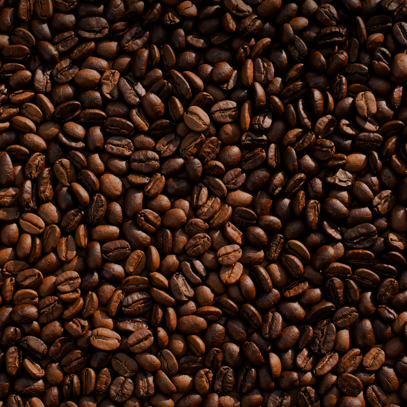 A large quantity of roasted coffee beans are spread out evenly, showing their dark colour and oily texture.